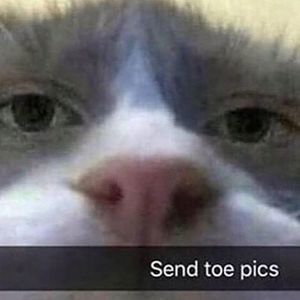 Meet your Posher, Ryker